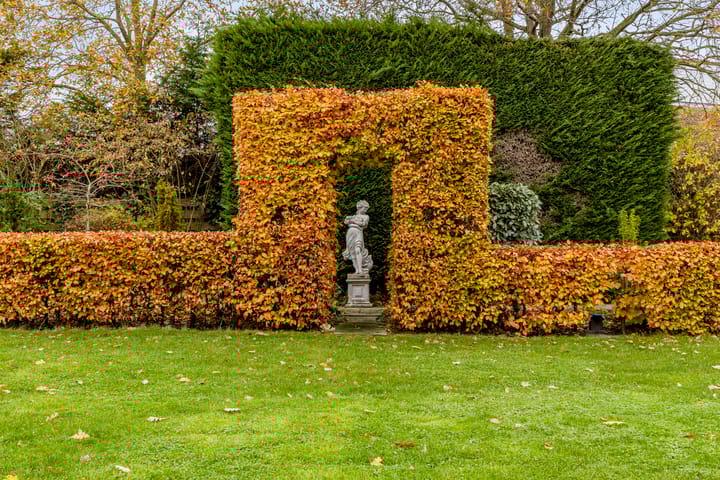 Photo 35 of Kapelleweg 6-C