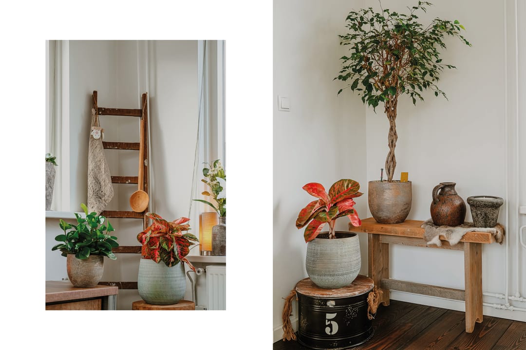 Foto 13 van Rijksweg 204