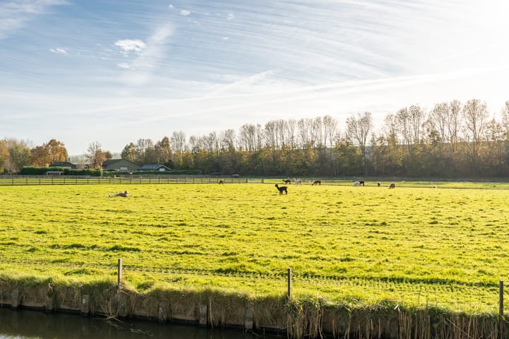 Photo 46 of Grutto 1