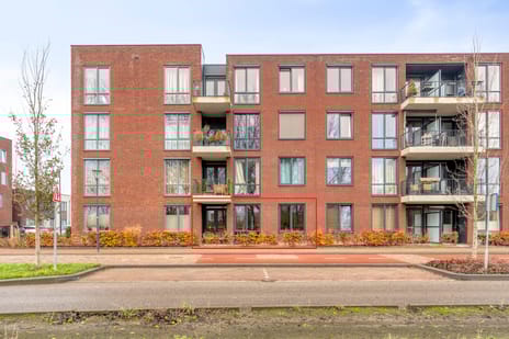 undefined main image