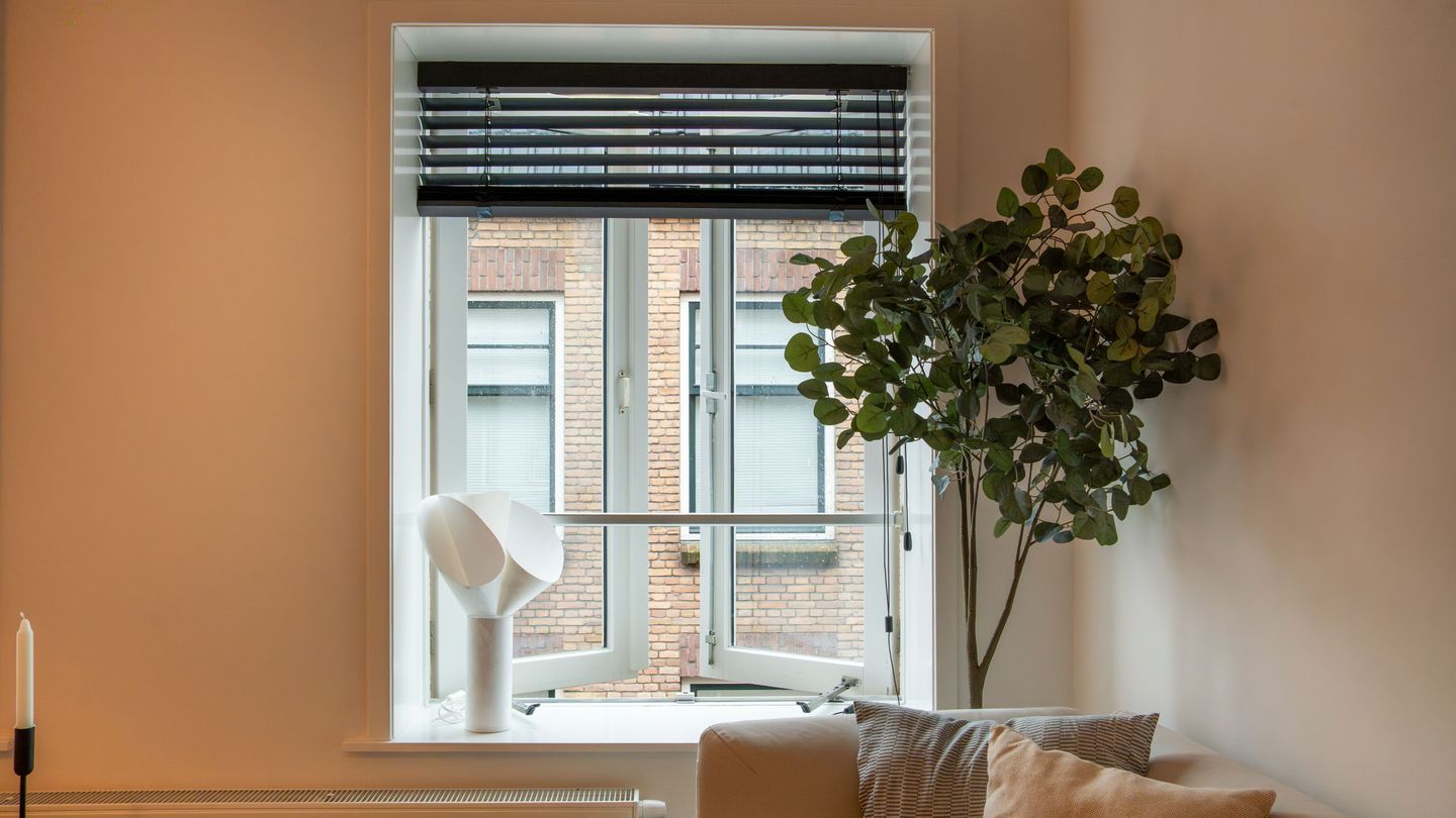 Foto 19 van Haarlemmerstraat 313-D