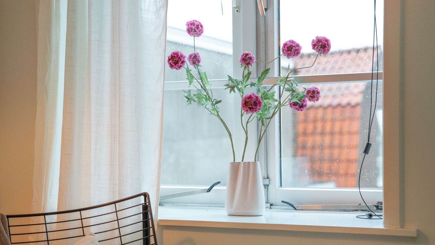 Foto 20 van Haarlemmerstraat 313-D