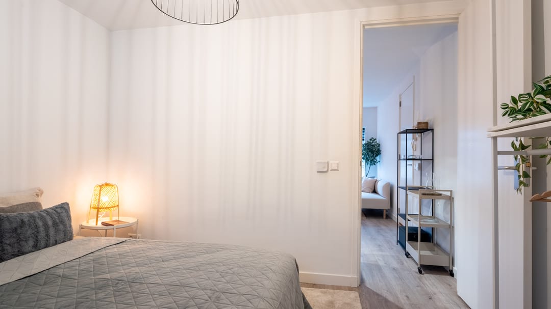 Foto 26 van Haarlemmerstraat 313-D