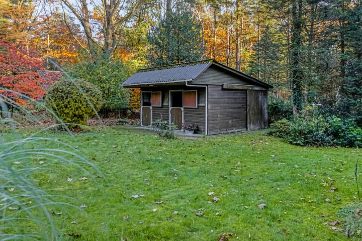 Foto 49 van Molenweg 56