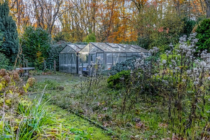 Foto 51 van Molenweg 56