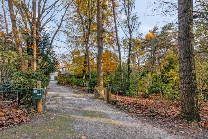 Foto 54 van Molenweg 56