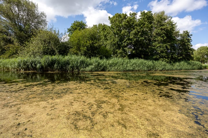 Foto 53 van Stadseiland 6