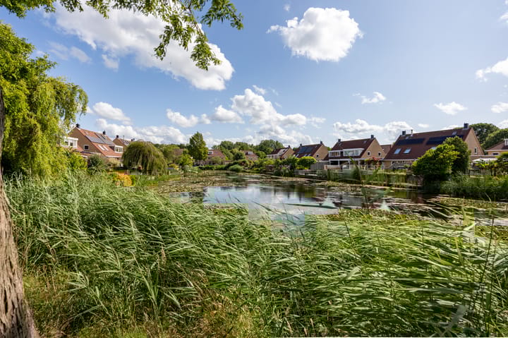 Foto 58 van Stadseiland 6