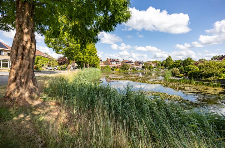 Foto 60 van Stadseiland 6