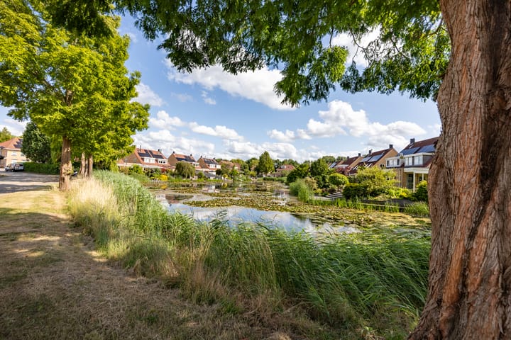 Foto 59 van Stadseiland 6