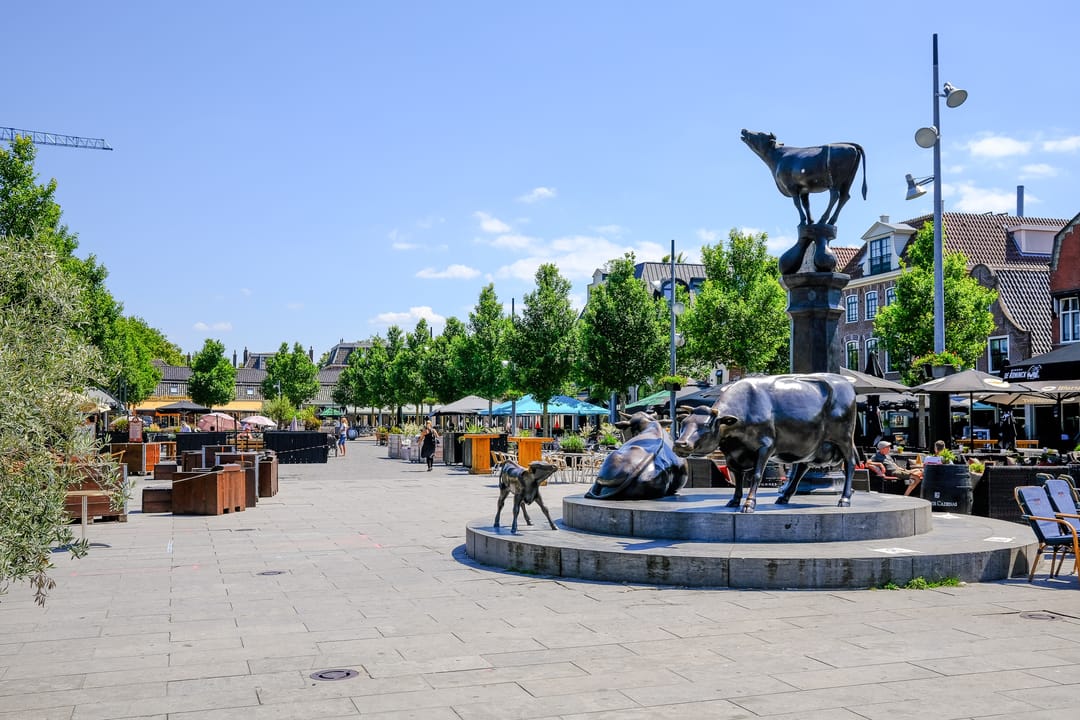 Foto 47 van Marseillehaven 4