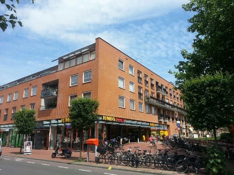 undefined main image