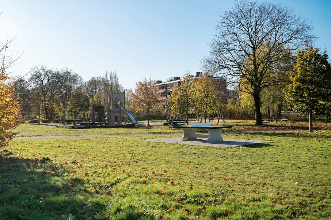 Foto 46 van Ravenweg 217