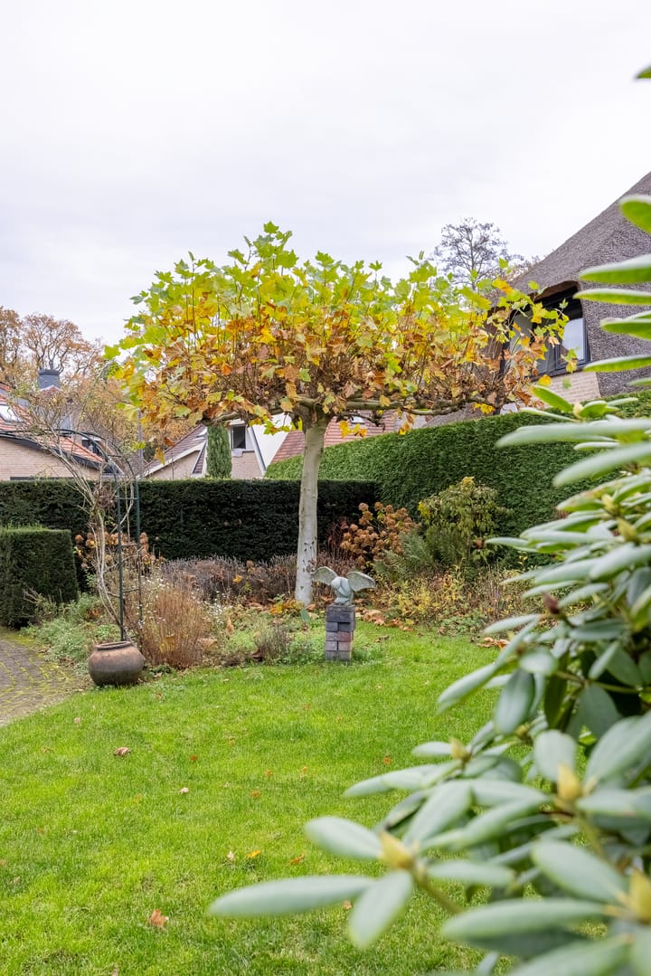 Foto 42 van Onder de Bogen 12