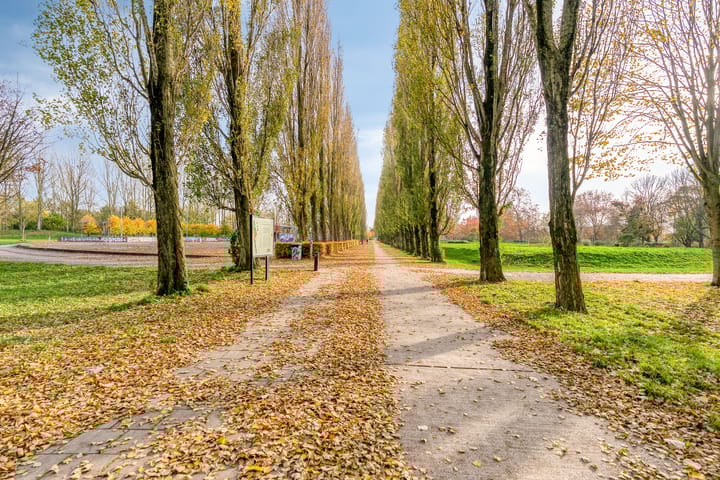 Photo 50 of Folkloreweg 97