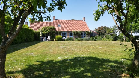 undefined main image