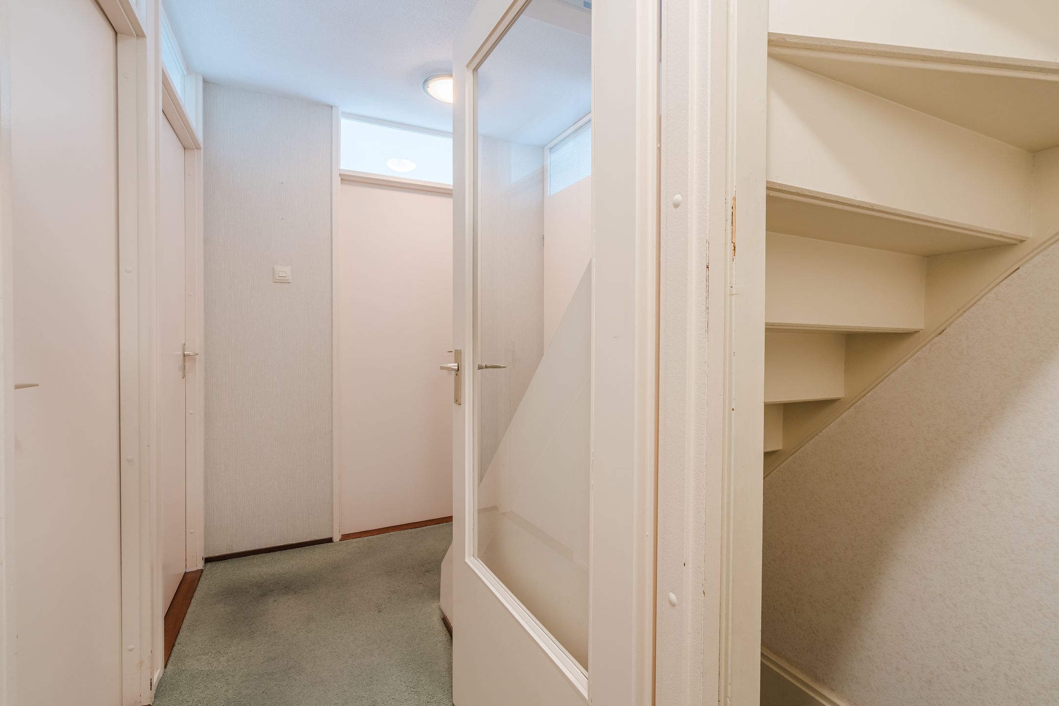 Foto 24 van Kreeft 1