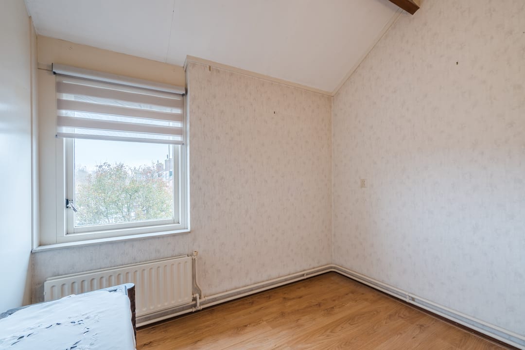 Foto 38 van Kreeft 1