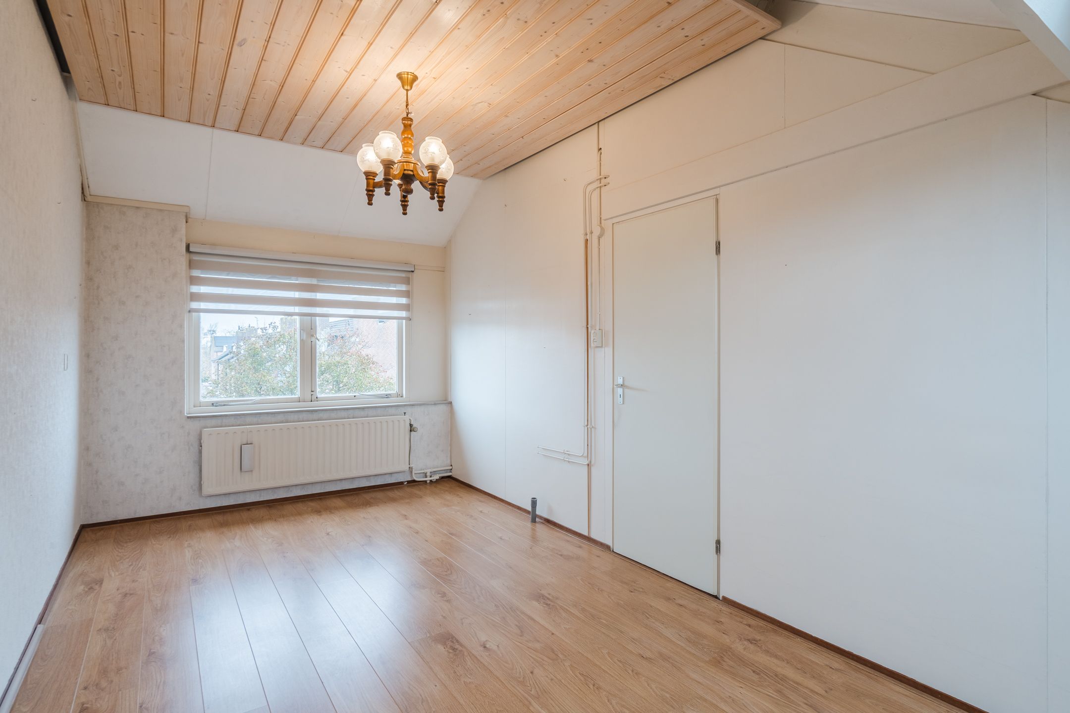 Foto 42 van Kreeft 1