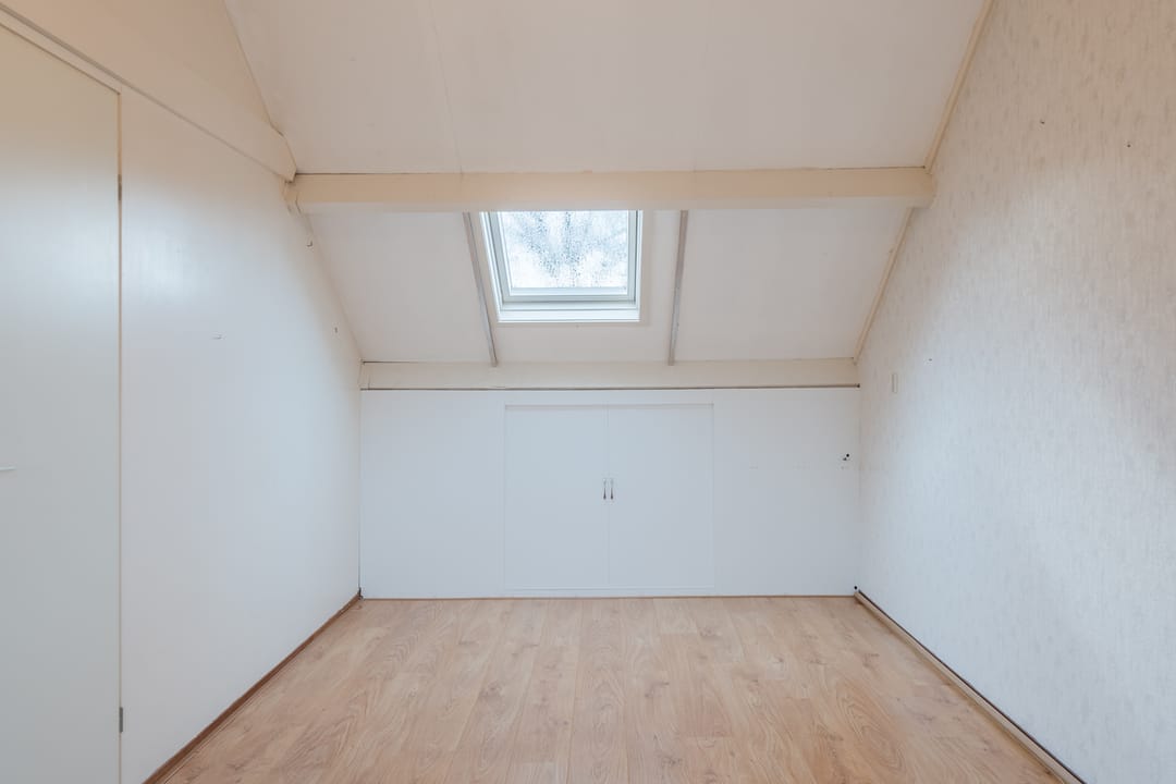 Foto 43 van Kreeft 1