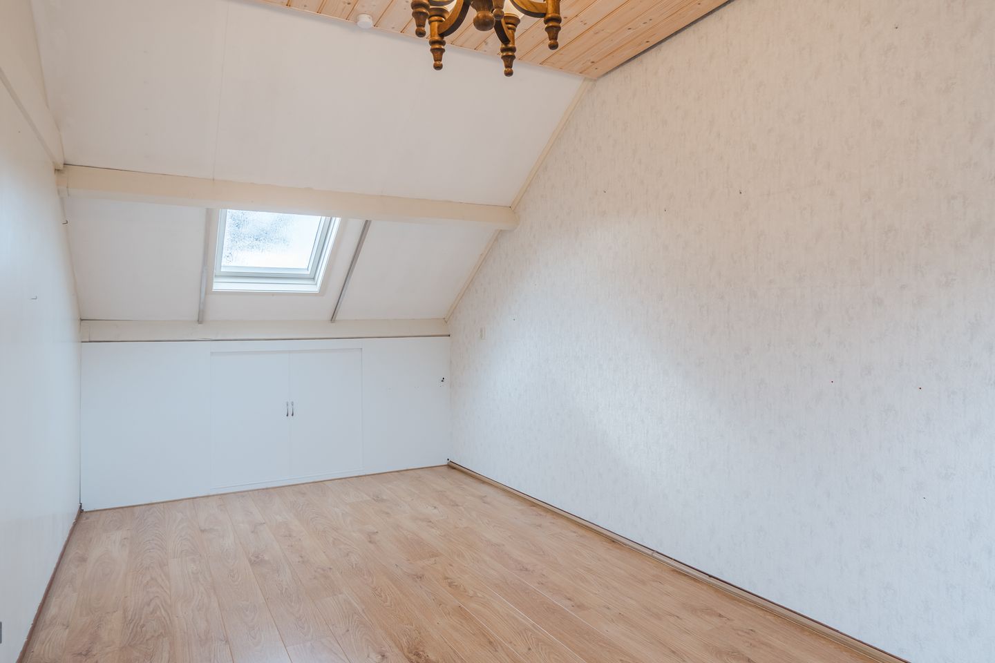 Foto 44 van Kreeft 1