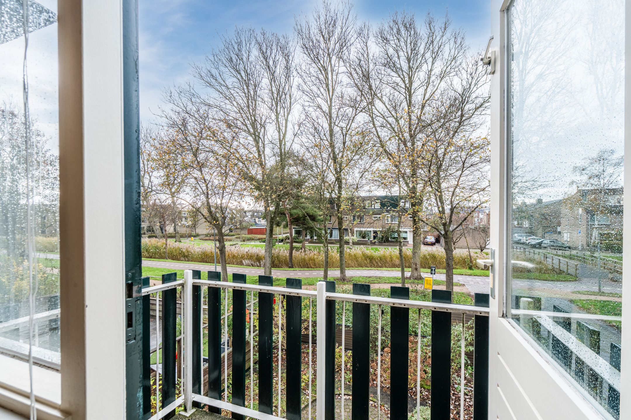 Foto 45 van Kreeft 1