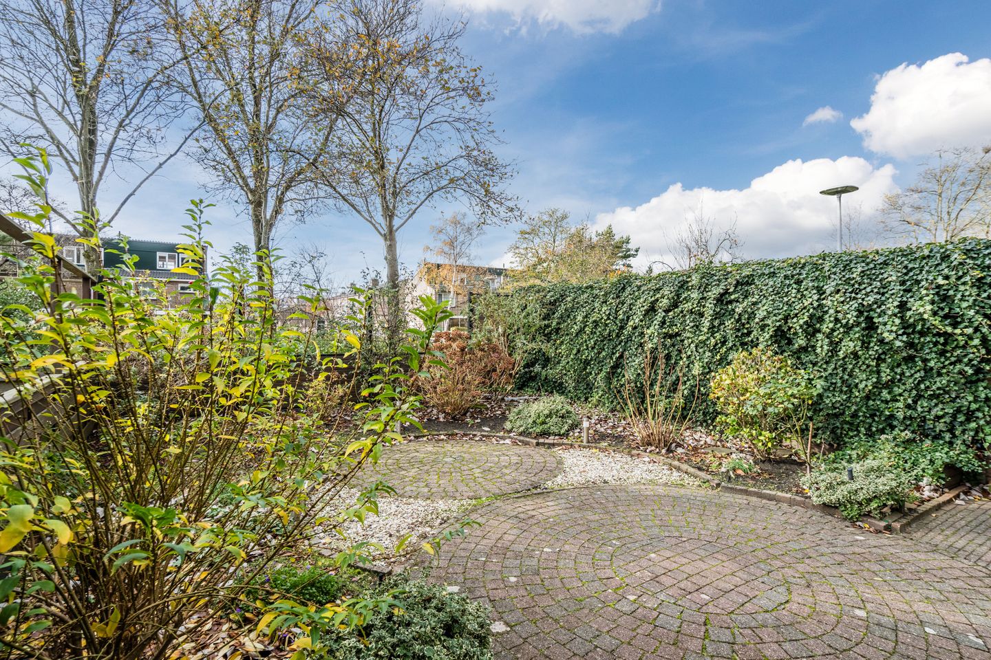 Foto 50 van Kreeft 1