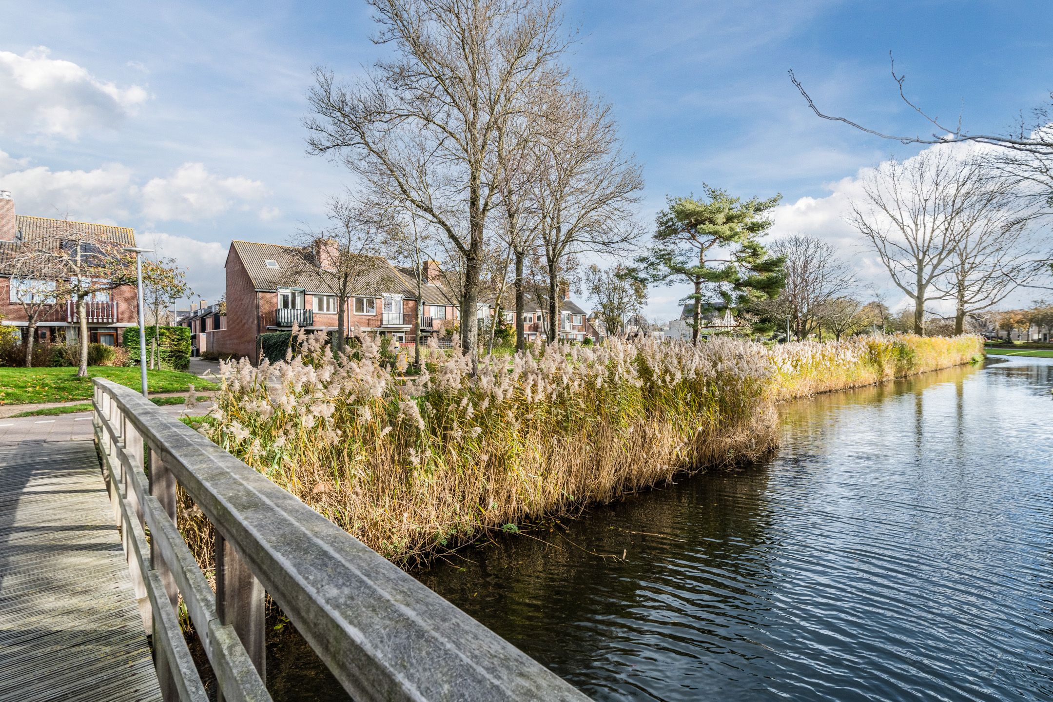 Foto 60 van Kreeft 1