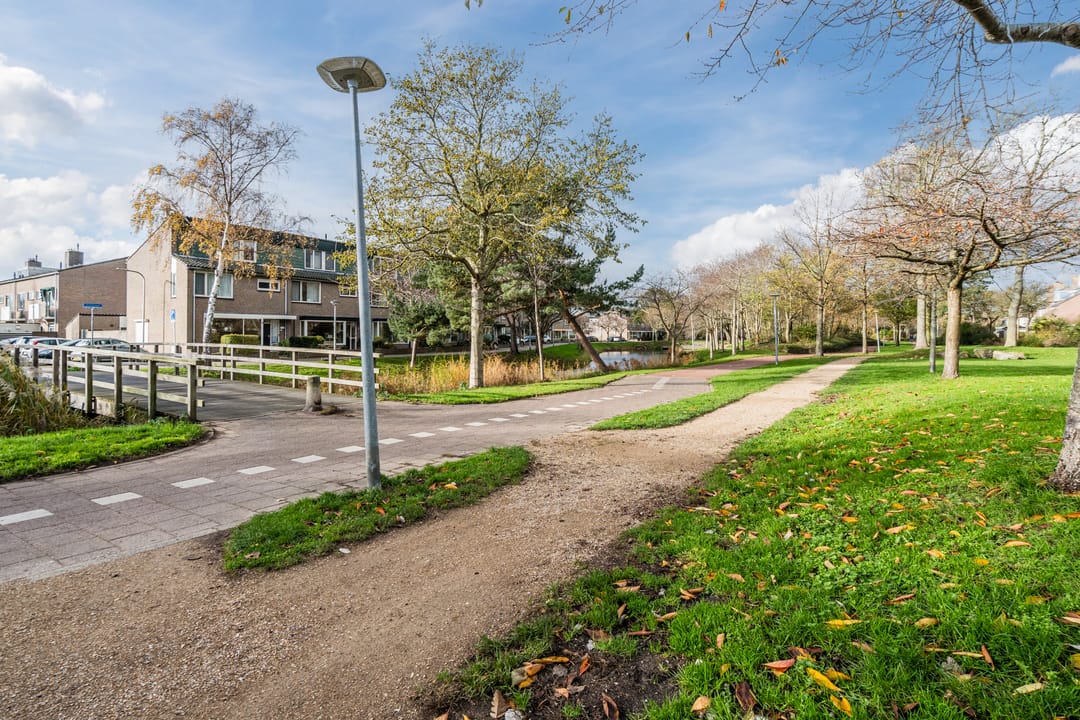 Foto 61 van Kreeft 1