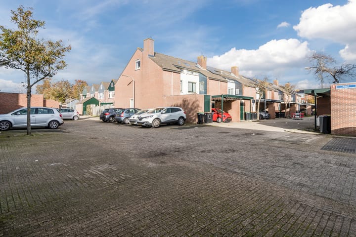 Photo 63 of Kreeft 1