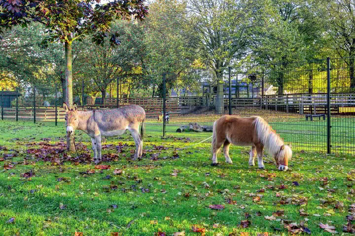 Photo 37 of 's-Gravenweg 23