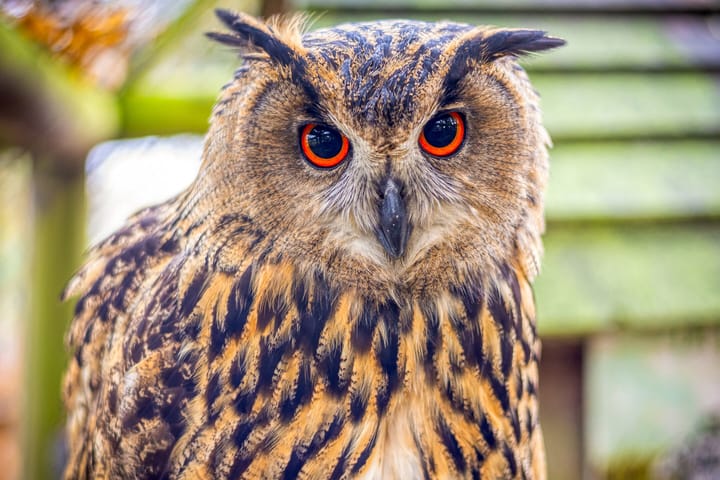 Photo 38 of 's-Gravenweg 23