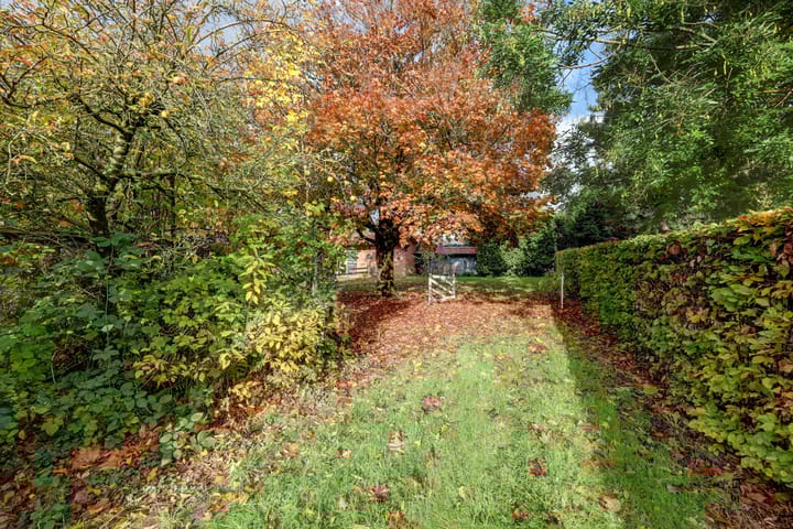 Foto 59 van Molenhoek 5