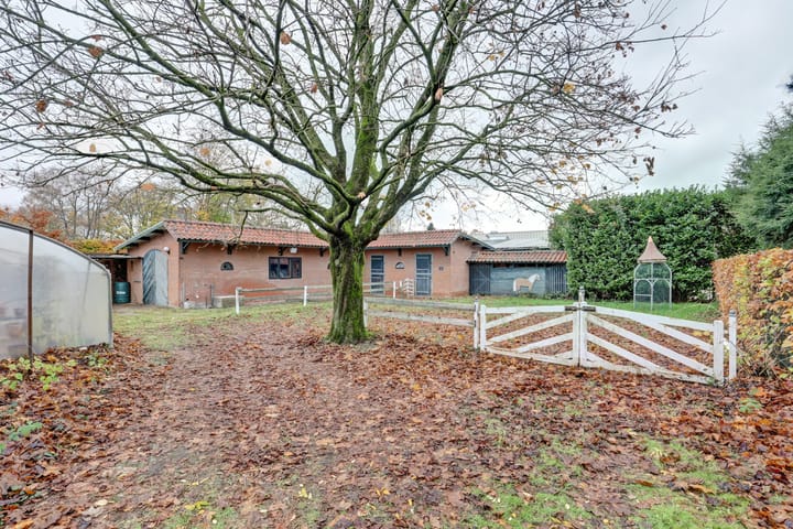 Foto 63 van Molenhoek 5