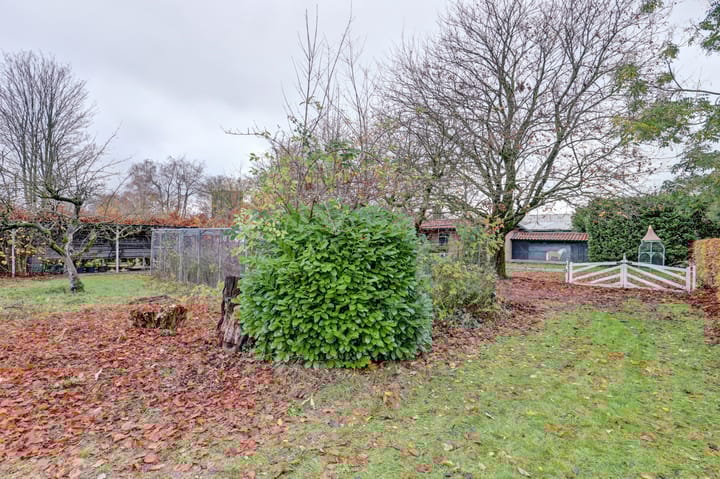 Foto 64 van Molenhoek 5