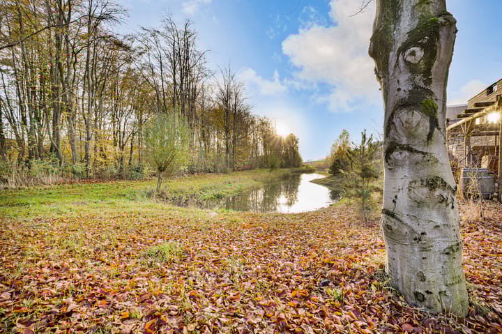 Foto 50 van Duinstraat 29