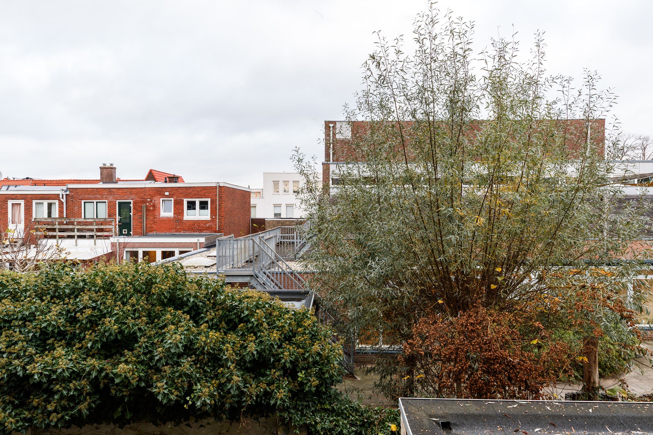 Foto 18 van Van Hoornekade 101