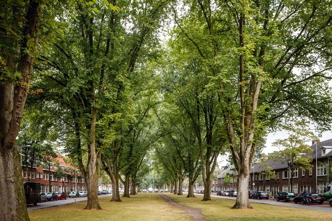 Foto 28 van Van Hoornekade 101