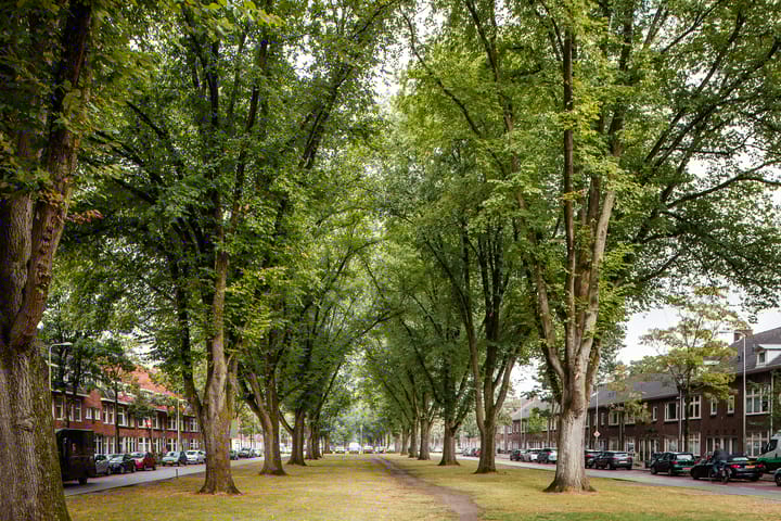 Photo 28 of Van Hoornekade 101