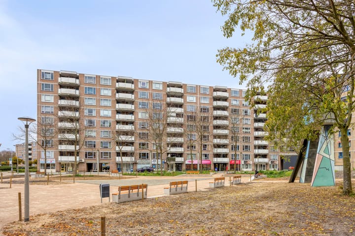 Schepen van Ommerenstraat 383 main image