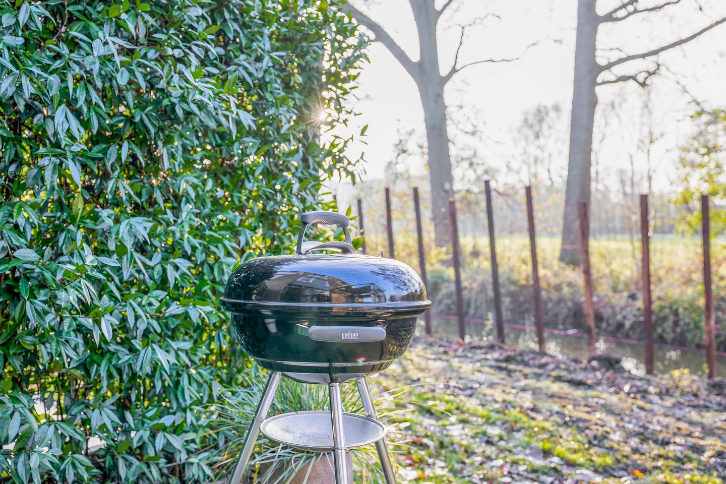 Foto 14 van Willem de Rijkelaan 50