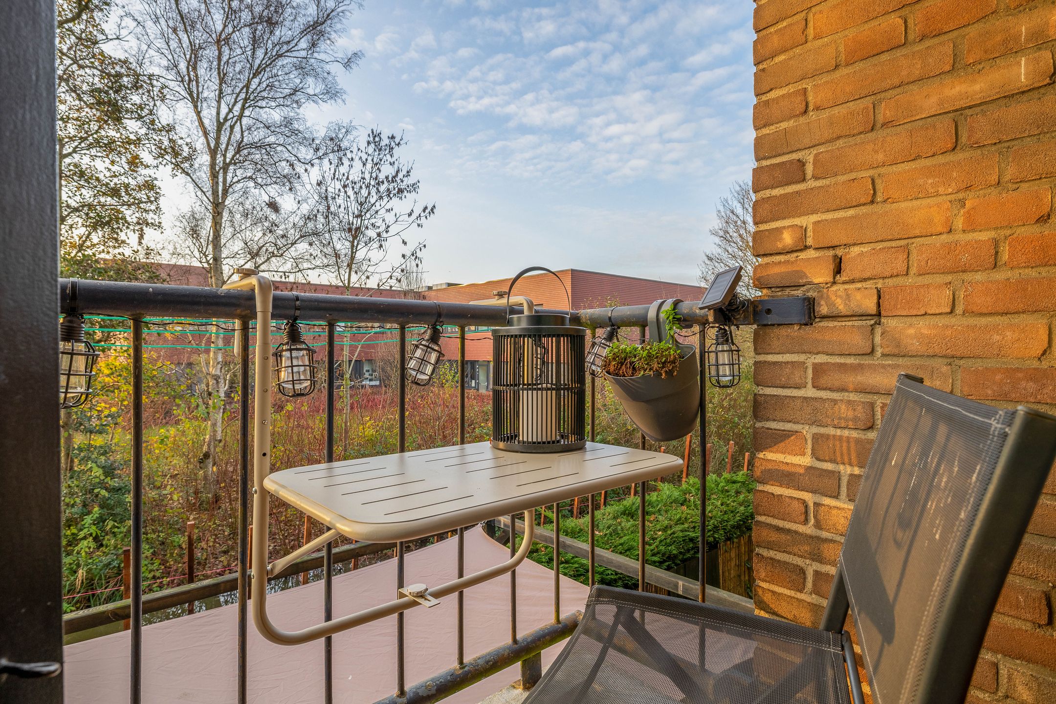 Foto 33 van Willem de Rijkelaan 50