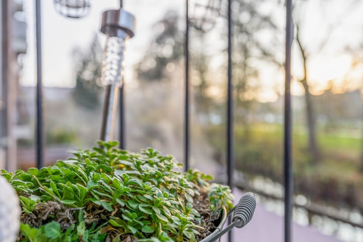 Photo 34 of Willem de Rijkelaan 50