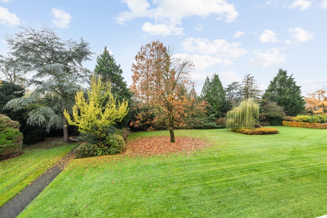 Foto 2 van Amersfoortsestraatweg 9-F110