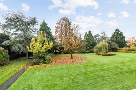 Amersfoortsestraatweg 9-F110 secondary image