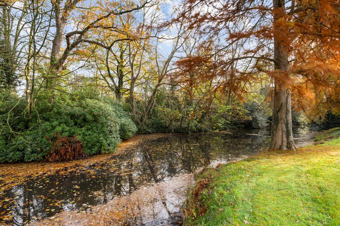 Foto 31 van Amersfoortsestraatweg 9-F110