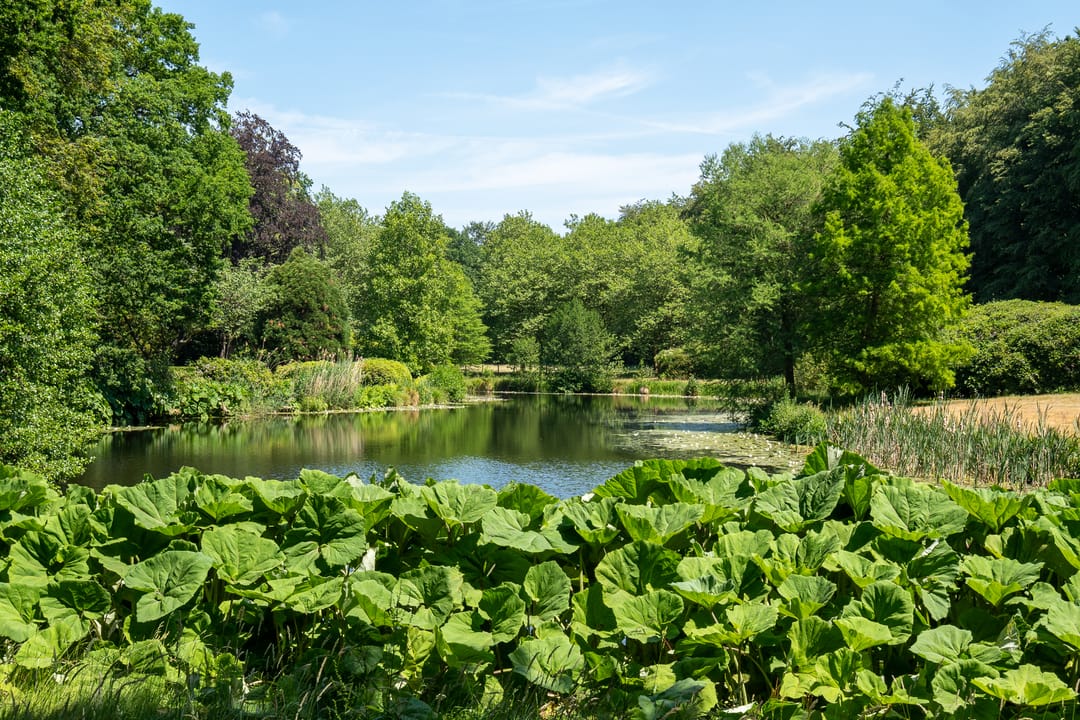 Photo 2 of Van Ommerenlaan 16