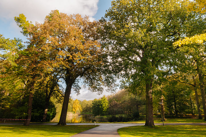 Foto 4 van Van Ommerenlaan 22