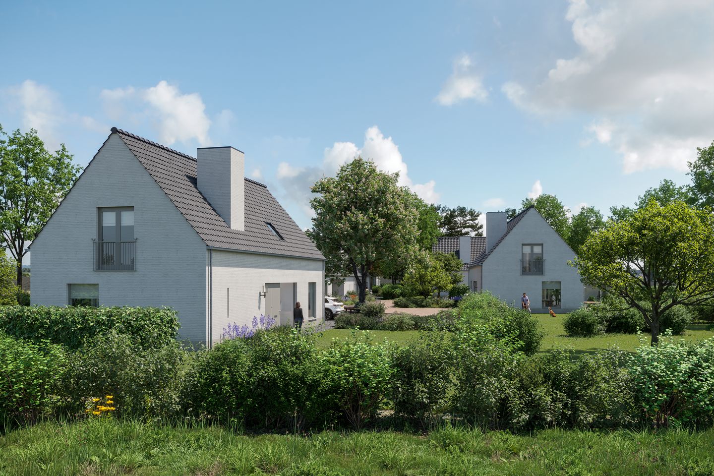 Foto 6 van Streepstraat