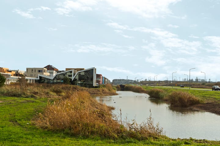 Photo 37 of Adriaen Blockstraat 8